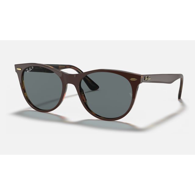 Ray Ban Wayfarer II Collection Online Exclusives RB2185 Sunglasses Light Blue Classic Brown
